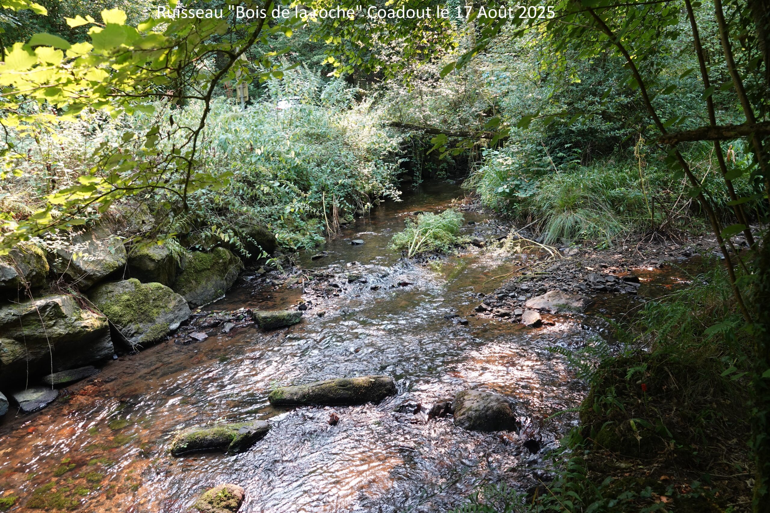 Le ruisseau du Bois de le Roche à Coadout
