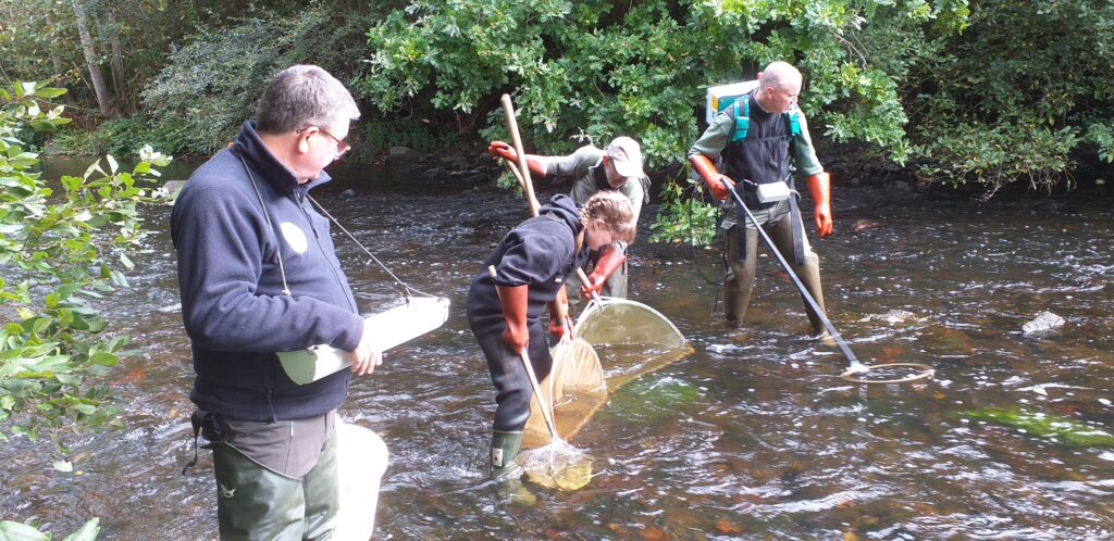 Indices d'abondance saumon du Trieux 2025