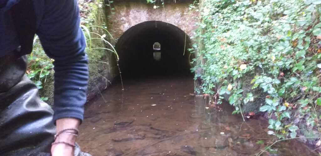 Prat Ar Lan 21 10 25 enfin le bout du tunnel