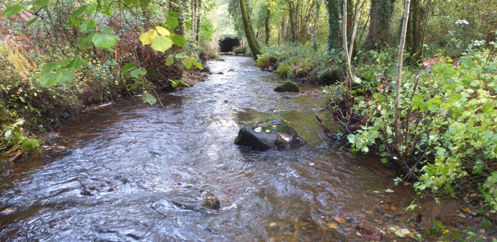 Bois de la Roche 28 10 25 nouveau chantier de restauration