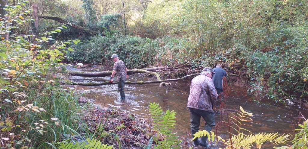 Bois de la Roche 28 10 25 premier embâcle