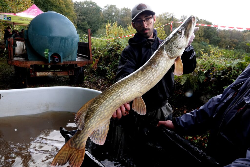 étang de la Martyre brochet 1,10 m 23 10 25