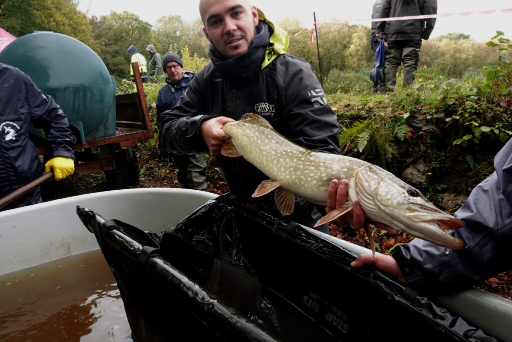 étang de la Martyre brochet 23 10 25