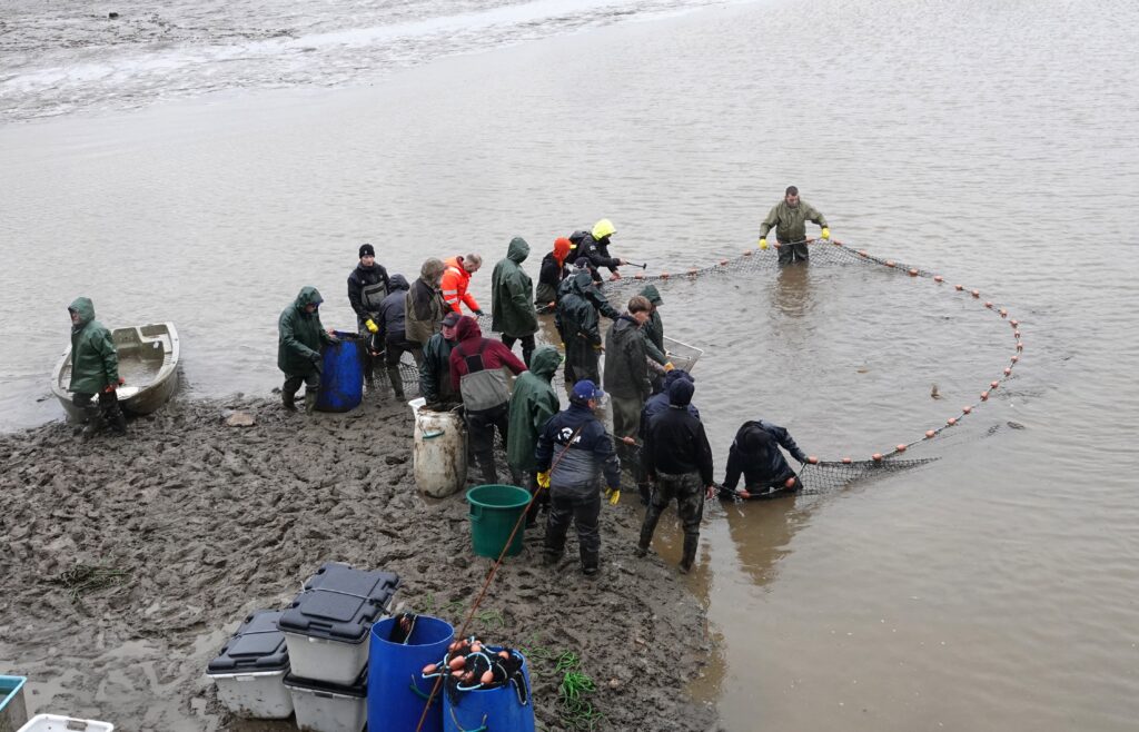 étang de la Martyre la pêche 23 10 25