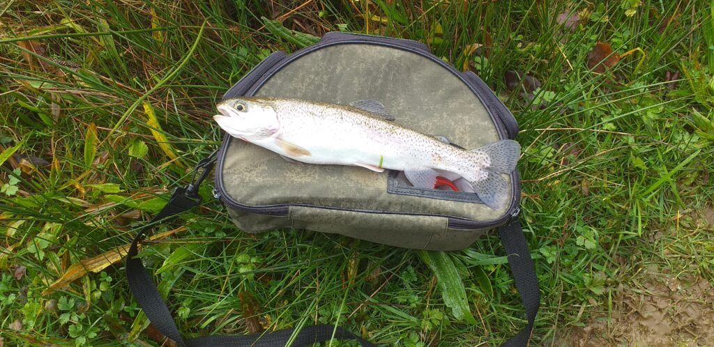 1ere truite de la saison