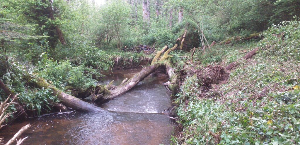 bois de la roche 12 05 2026 gros embâcle après traitement