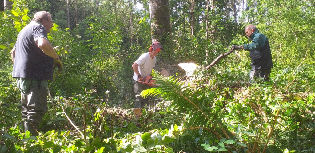 Bois de la roche 09 06 2026 l'équipe est en pleine action