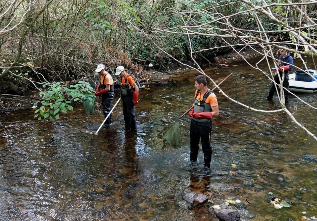 Inventaire piscicole sur le Trieux à Kerlidiguez le 09 09 2026. l'équipe d'hydro concept en action