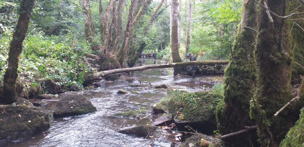 bois de la roche 06 10 2026, et encore une cinquantaine de mètres