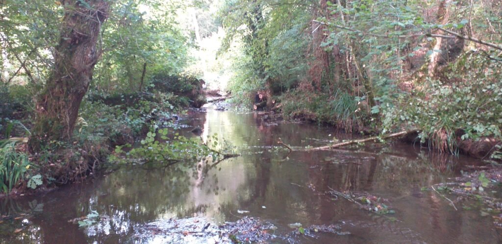 bois de la roche 13 10 2026 la rivière commence à voir le jour, mais ce n'est pas fini.